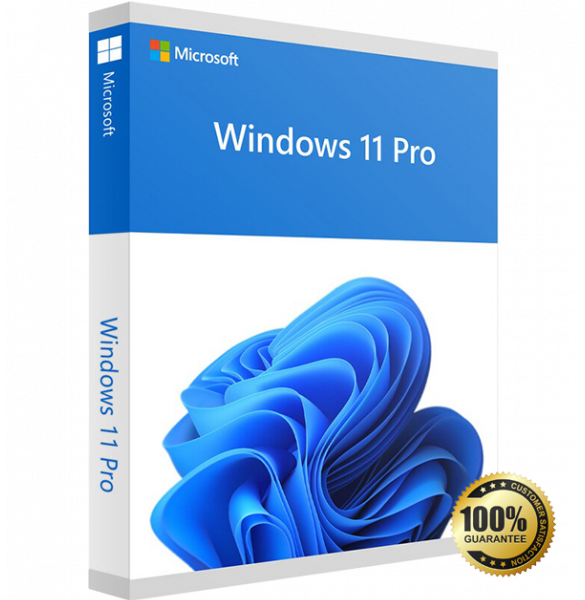 Windows 11