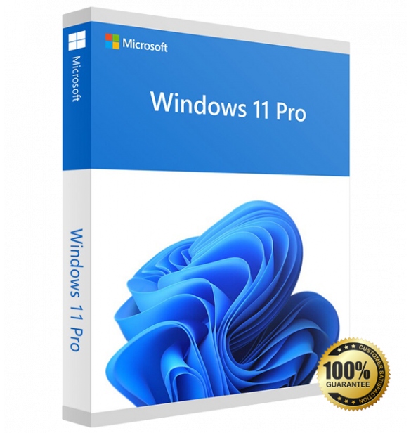 Windows 11