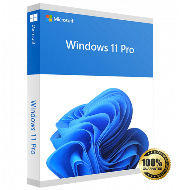 Windows-11-Professional-64-bit.png